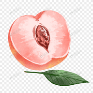 久播影院APP应用