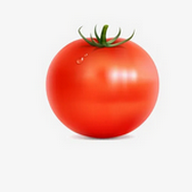 WWW,av798·COM网站APPAPP应用